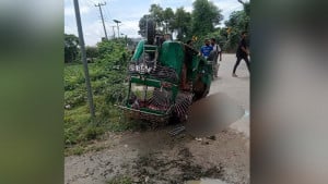 ট্রাক-সিএনজি সংঘর্ষে নারীসহ নিহত ২, গুরুতর আহত শিশু