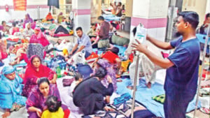 ডেঙ্গুতে আগস্টে সর্বোচ্চ সংক্রমণ ও প্রাণহানি