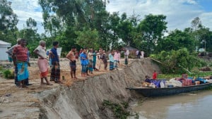 ২৪ ঘণ্টায় তিস্তায় বিলীন ১০০ ঘর হুমকিতে শতাধিক একর জমি