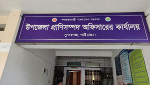 জনবল সংকটে তালা, দুই সাবস্টেশনে খামারিদের ভরসা হাতুড়ে চিকিৎসক