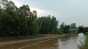 দীর্ঘদিনেও আলোর মুখ দেখেনি রাবার ড্যাম