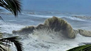 আন্দামান সাগরে কালকের মধ্যে লঘুচাপ, বৃষ্টি বাড়তে পারে
