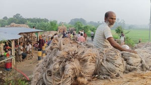 পাটের দামে খুশি কৃষক