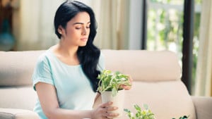গাছের যত্নে যে ভুল নয়