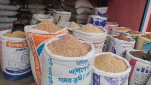 পোলট্রি ও পশু খাদ্যের বাড়তি দাম খামারিরা চাপে