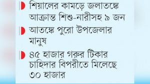 সুন্দরগঞ্জে অ্যানথ্রাক্সে  আক্রান্ত বেড়ে ৩৪