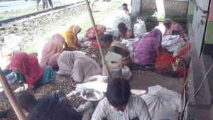 পচা সুপারি এখন শিল্পের কাঁচামাল