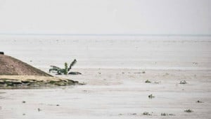 পদ্মার পানি বিপৎসীমার নিচে, তবু প্লাবিত হচ্ছে দক্ষিণের চর
