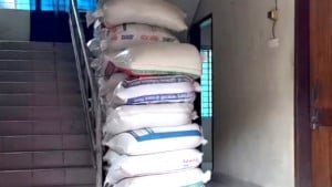 উল্লাপাড়ায় ৬৫ বস্তা সরকারি চাল জব্দসহ গ্রেপ্তার ২