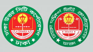 কাউন্সিলর নেই, মশা নিয়ন্ত্রণে বিএনপির নেতাকর্মীরা