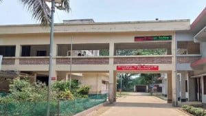 ফুলবাড়িয়ায় ভিমরুলের কামড়ে নানি-নাতনির মৃত্যু