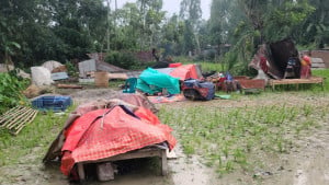 খোলা আকাশের নিচে বসবাস তিস্তায় গৃহহারা পরিবারের