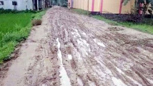 কর্দমাক্ত সড়কে ৫ গ্রামের কষ্ট
