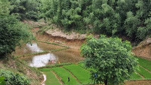 হালদা নদীর উৎসস্থল এবং নিজস্বতা রক্ষা জরুরি