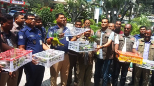 বগুড়ায় খাঁচাবন্দি ১০৩ টিয়া উড়ল মুক্ত আকাশে