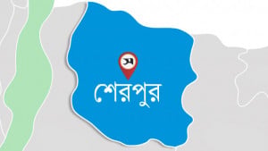 প্রাকৃতিক বন ফিরিয়ে হাতির অভয়ারণ্য গড়ার পরামর্শ