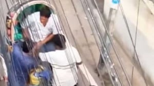 দুই ছিনতাইকারী ছুরি ঠেকিয়ে সব নিয়ে গেল রিকশাযাত্রীর