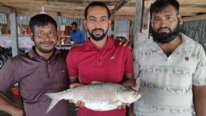 ২ কেজির ইলিশ বিক্রি হলো ৭ হাজার ২০০ টাকায়