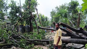 হালুয়াঘাটে আকস্মিক ঝড়ে লণ্ডভণ্ড ঘরবাড়ি