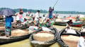 সন্ধ্যার বুকে ভাসমান ধান-চালের হাট