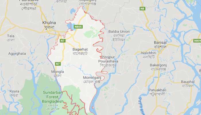 মাকে কুপিয়ে খুন, ছেলে আটক