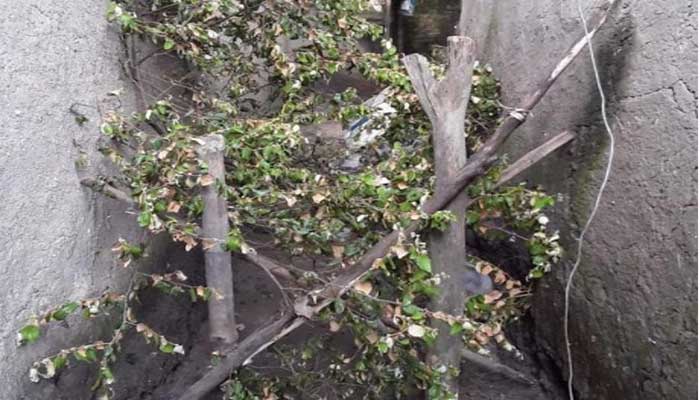 বিদ্যালয় পরিচালনা কমিটির সভাপতি হতে না পেরে...