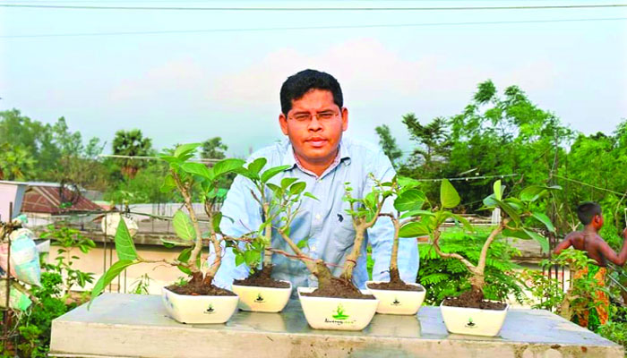 দেশ-বিদেশে ছড়িয়ে সবুজের বনসাই