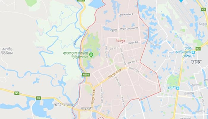 মিরপুরে নিজ বাড়িতে বৃদ্ধা খুন