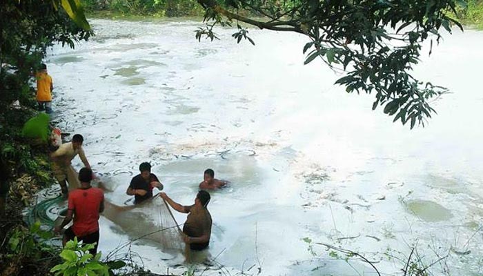 রাজশাহীতে বিষাক্ত রং মেশানো ৩০১ বস্তা ডাল ধ্বংস