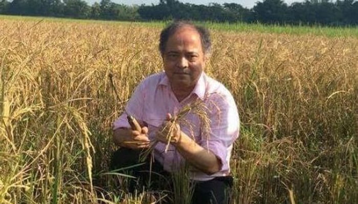 ডায়াবেটিস নিয়ন্ত্রণে ‘সোনালী চাল’