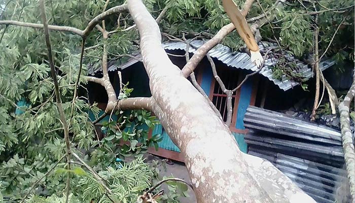 বরগুনায় আশ্রয়কেন্দ্রে বৃদ্ধার মৃত্যু, ঘরবাড়ি বিধ্বস্ত