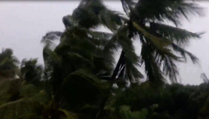বুলবুলের আঘাতে লণ্ডভণ্ড সুন্দরবন