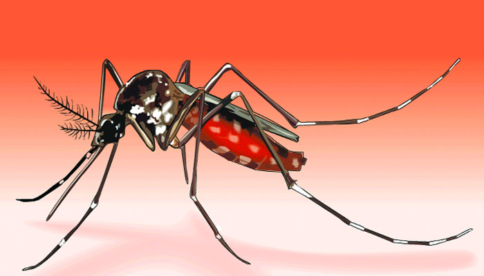 যৌন মিলনে ডেঙ্গুর ভাইরাস ছড়ানোর প্রমাণ!