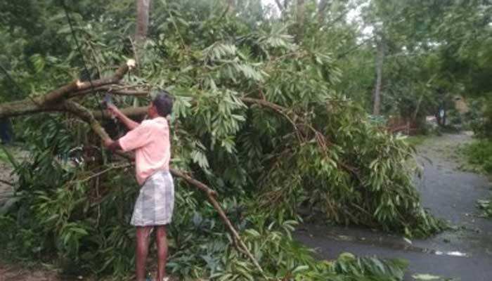 ঘূর্ণিঝড় 'বুলবুল': পশ্চিমবঙ্গে নিহত ৬, ক্ষতিগ্রস্ত ২৯ হাজার ঘরবাড়ি