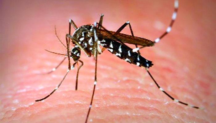 খুলনায় ডেঙ্গুতে প্রাণ গেল নারীর