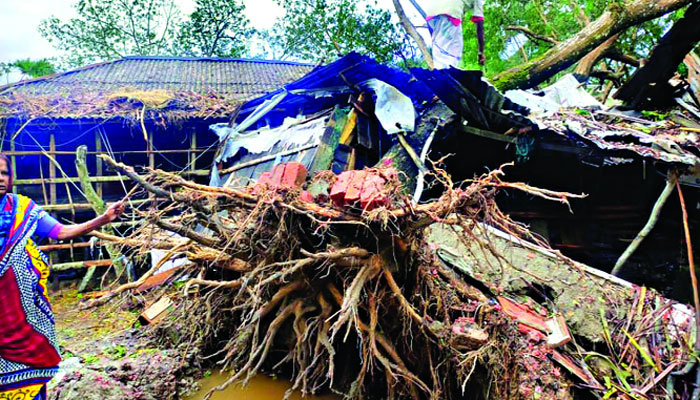 কাছে থেকে দেখা