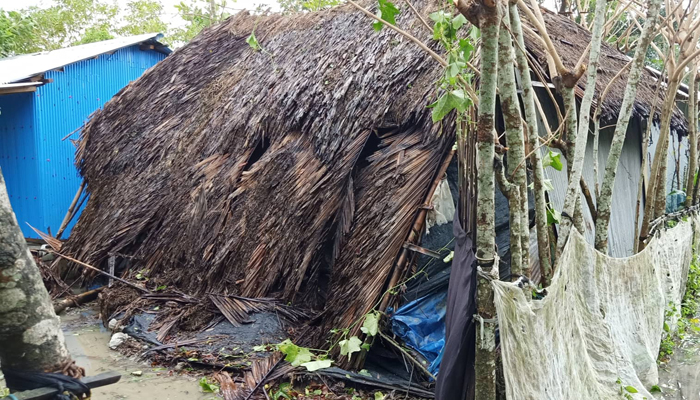 খুলনায় গাছচাপায় নিহত ২