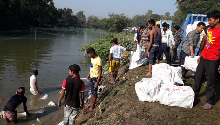 কুমিল্লায় ইলিশ বহনকারী ট্রাক খাদে পড়ে নিহত ২
