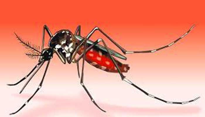 খুলনায় ডেঙ্গুতে নারীর মৃত্যু