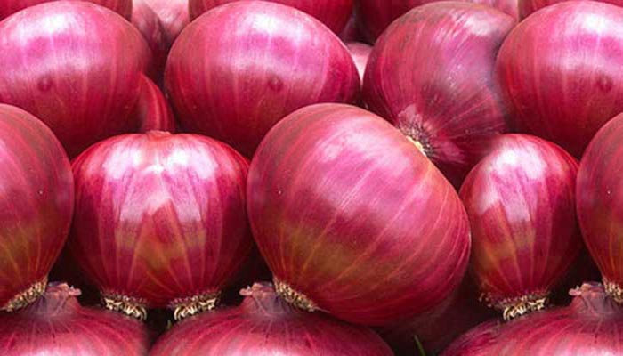 এবার মিসর থেকে উড়োজাহাজে এলো পেঁয়াজ