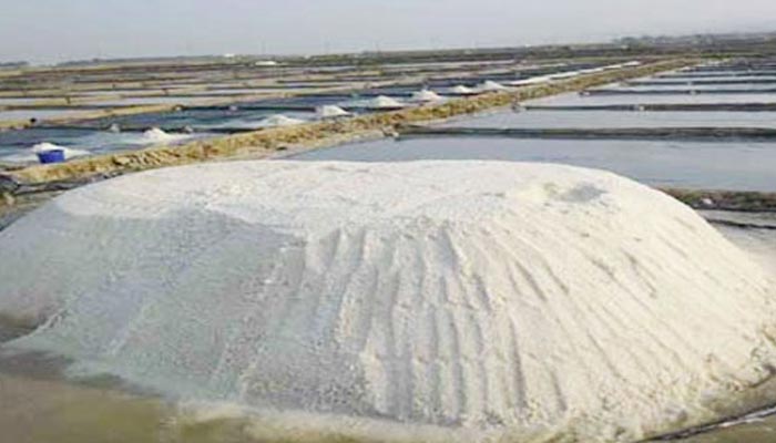লবণের ঘাটতি নেই, গুজবে বিভ্রান্ত না হওয়ার আহ্বান মন্ত্রণালয়ের
