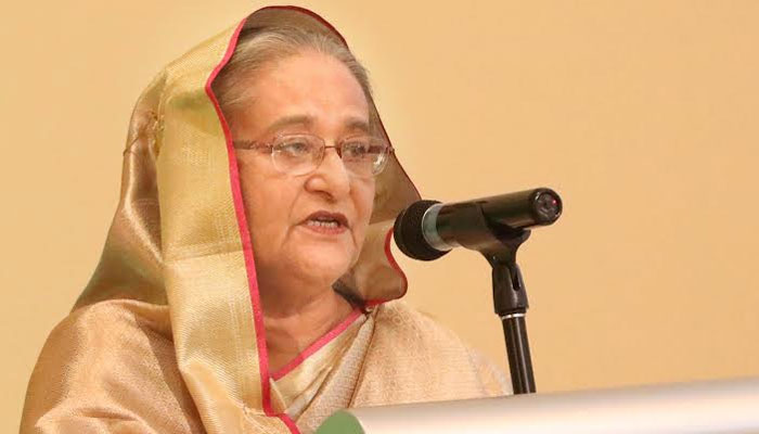 বাংলাদেশে আমিরাতের আরও বড় বিনিয়োগ প্রত্যাশা প্রধানমন্ত্রীর