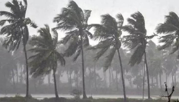 পশ্চিমবঙ্গে বুলবুলের দাপট, ২ জনের মৃত্যু