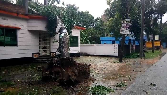 দুর্বল হয়ে স্থল নিম্নচাপে পরিণত 'বুলবুল', কমলো বিপদ সংকেত