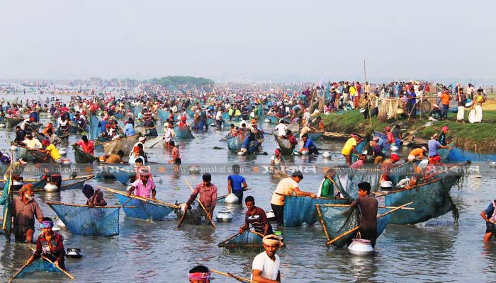 চলনবিলে মাছ ধরার ‘বাউত উৎসব’