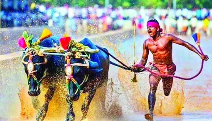 বোল্টকেও হার মানানো দৌড়!
