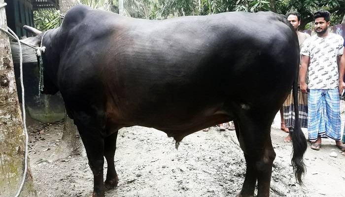 সন্তানের মতোই ‘খাঁন বাহাদুরকে’ বড় করেছেন শফিউল্লা খাঁন