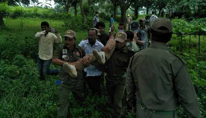 সাভারে ভূমিদস্যুদের হামলায় বন কর্মকর্তাসহ আহত ৫