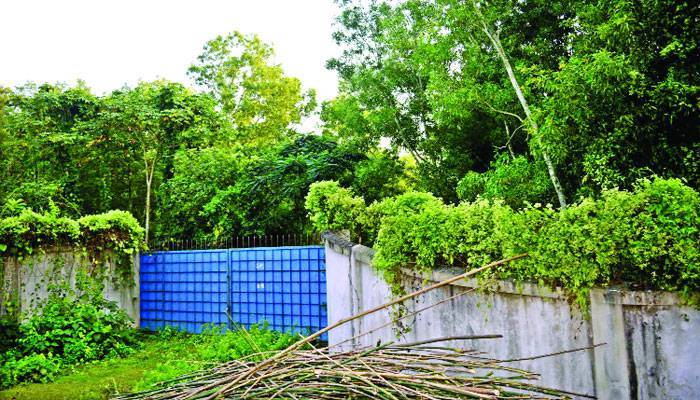 বন গেছে বনবাসে!