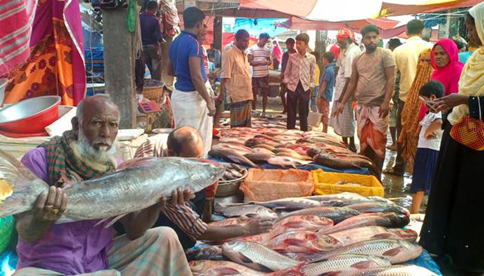 বগুড়ার গ্রামে গ্রামে মাছের মেলা